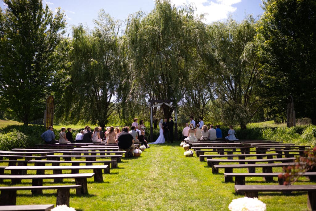 Weeping Willow tree wedding ceremony space Pepin, wisconsin