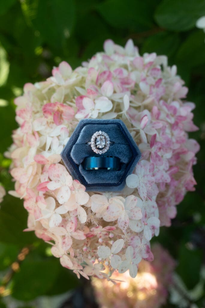 Ring shot on hydrangea at Blooming Barrel in Baldwin