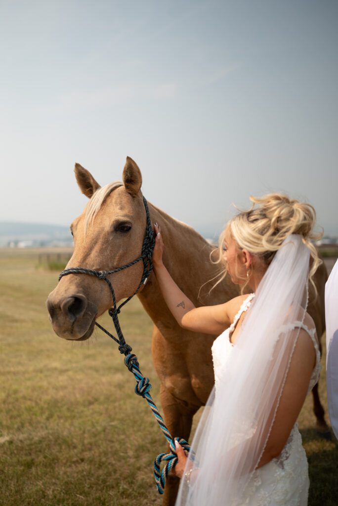 Bride and horse from the Montana AirBnB before her wedding