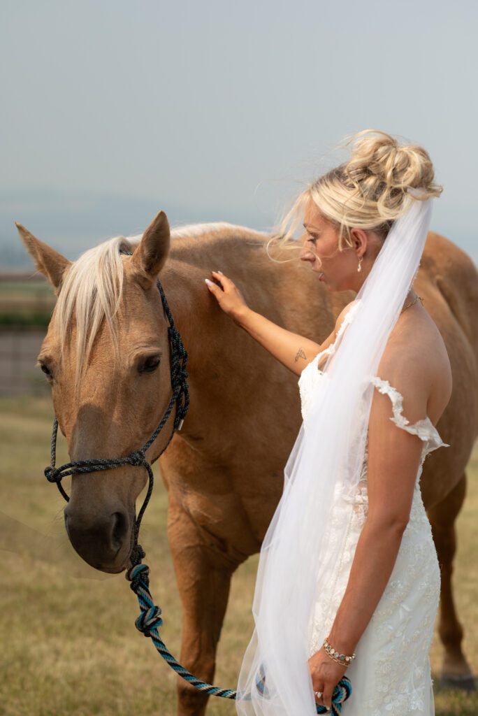 Bride and horse wedding photo