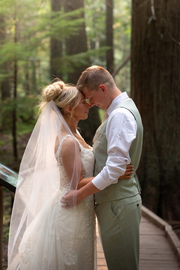 Bride and groom in beautifully illuminated portrait at glacier national park amongst the old growth forest along Going to the Sun Road