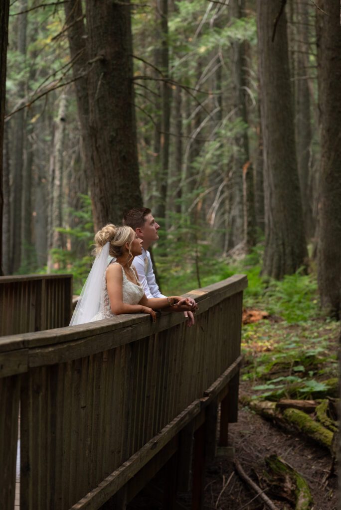 Bride and groom admiring the trees at Glacier National Park