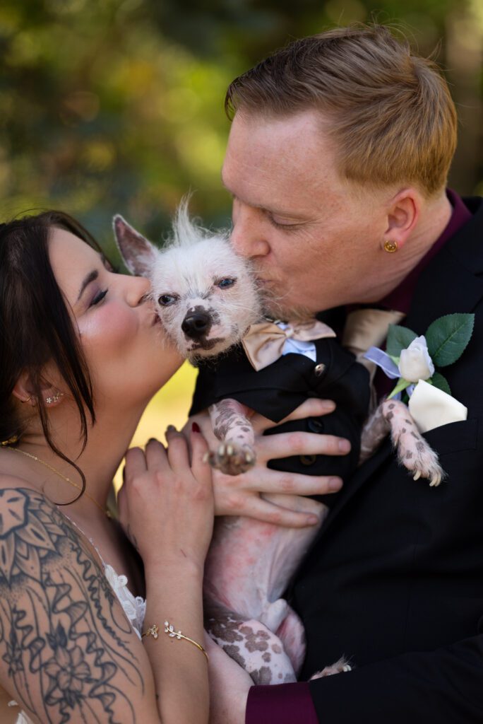 puppy love wedding