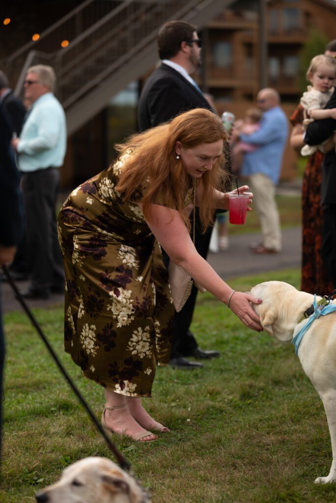 petting dogs at wedding cocktail hour