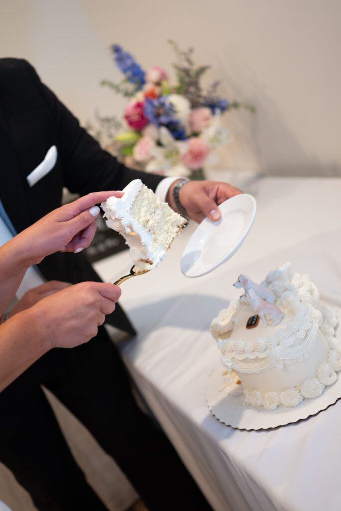 cake cutting