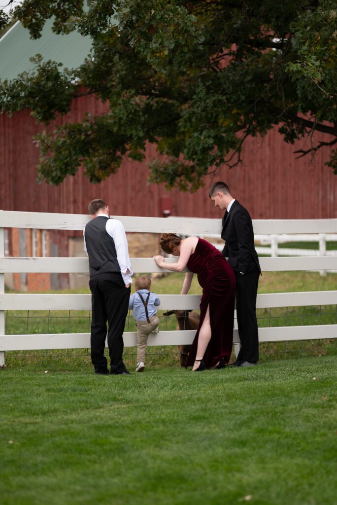 wedding party saying hi to the farm animals at Almmquist Farm Wedding venue