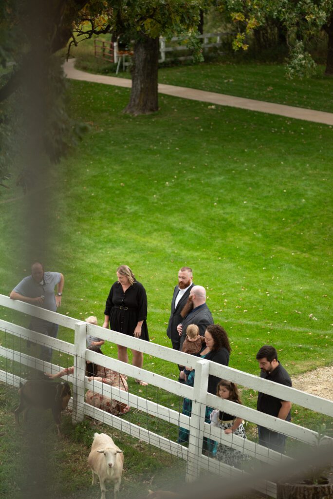 MN wedding